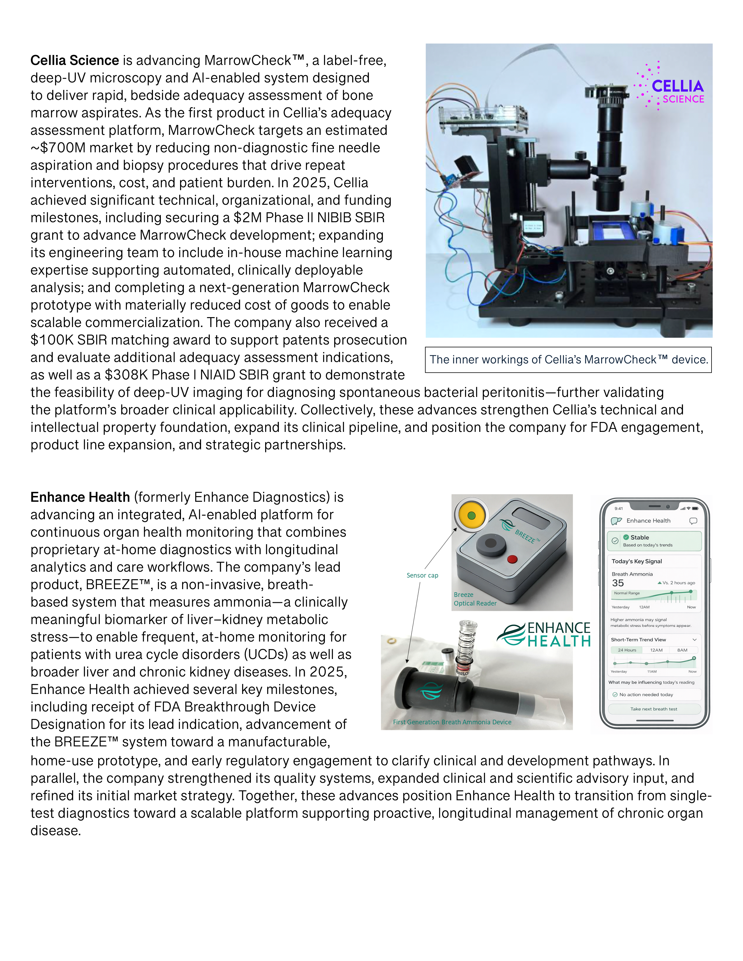 2025_AnnualReport_ExecutiveSummary10