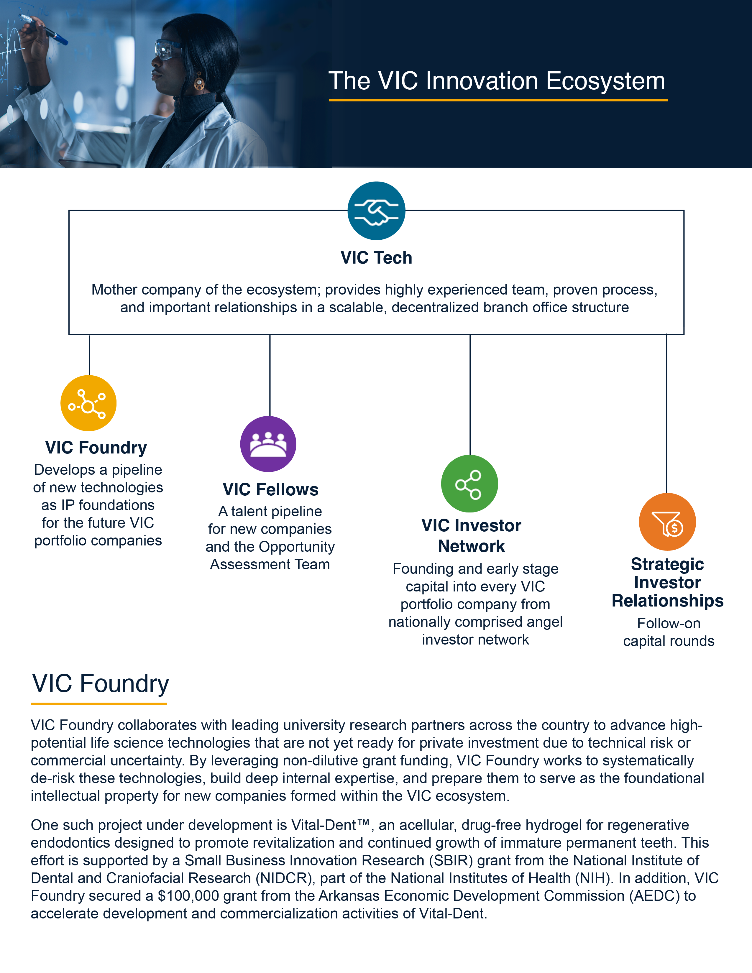 2025_MidYear_ExecutiveSummary19
