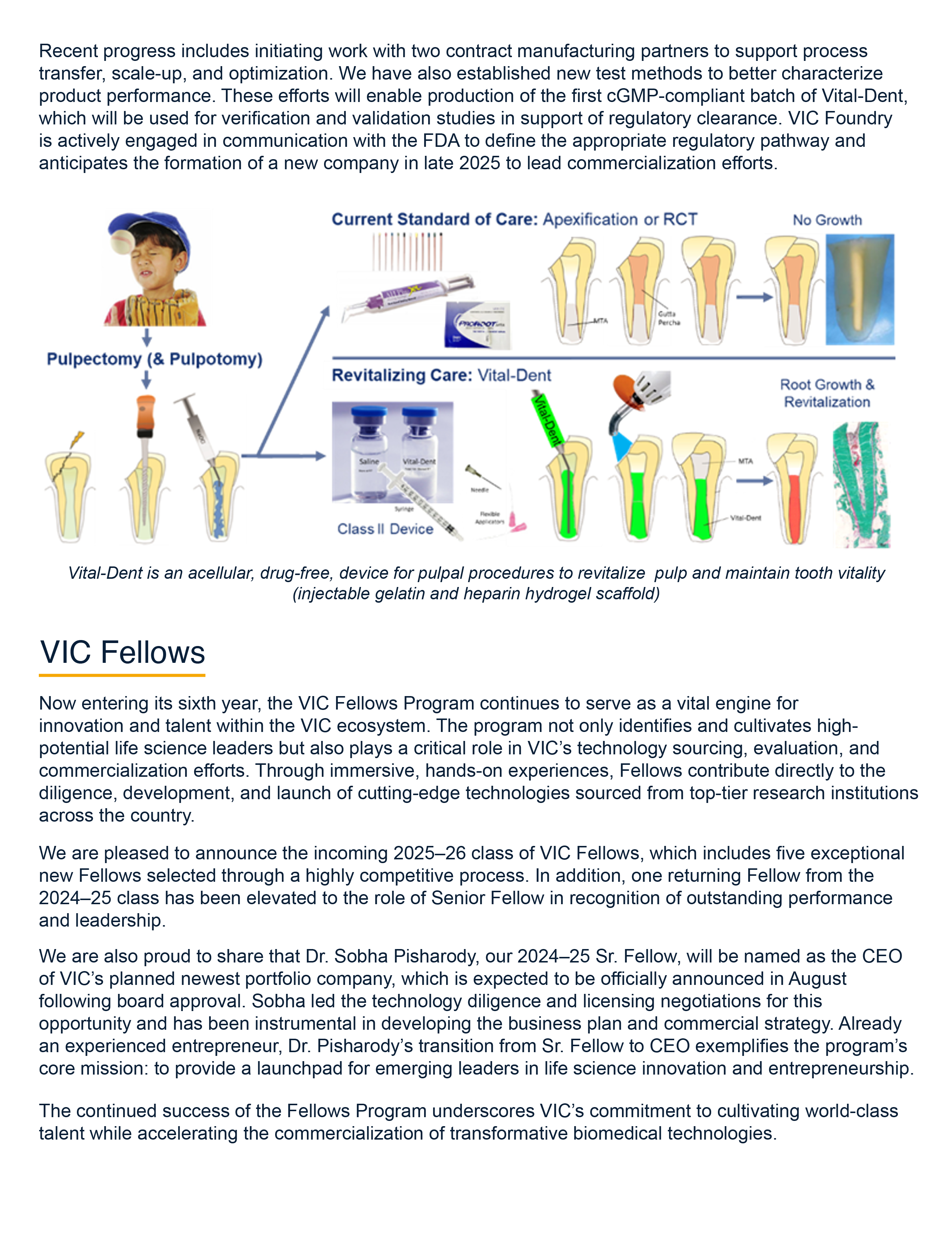 2025_MidYear_ExecutiveSummary20