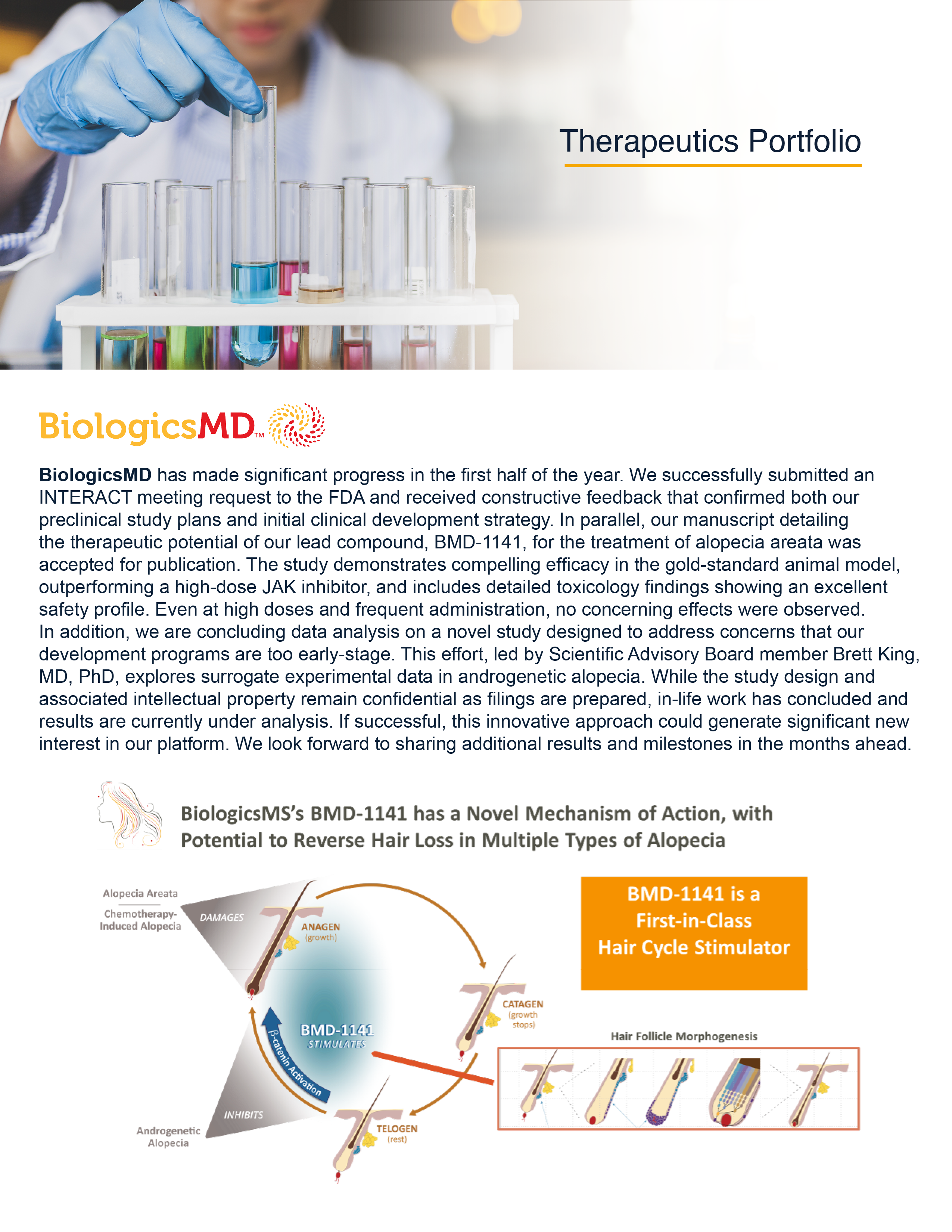 2025_MidYear_ExecutiveSummary9