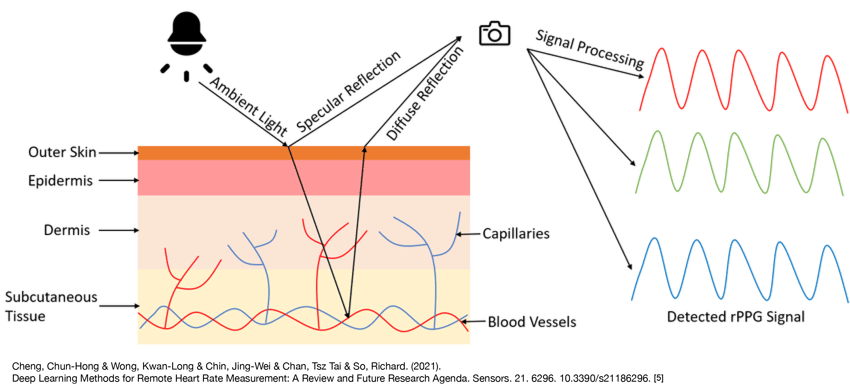 Edit-Principle-of-remote-photoplethysmography-rPPG-based-on-the-dichromatic-reflection-model copy