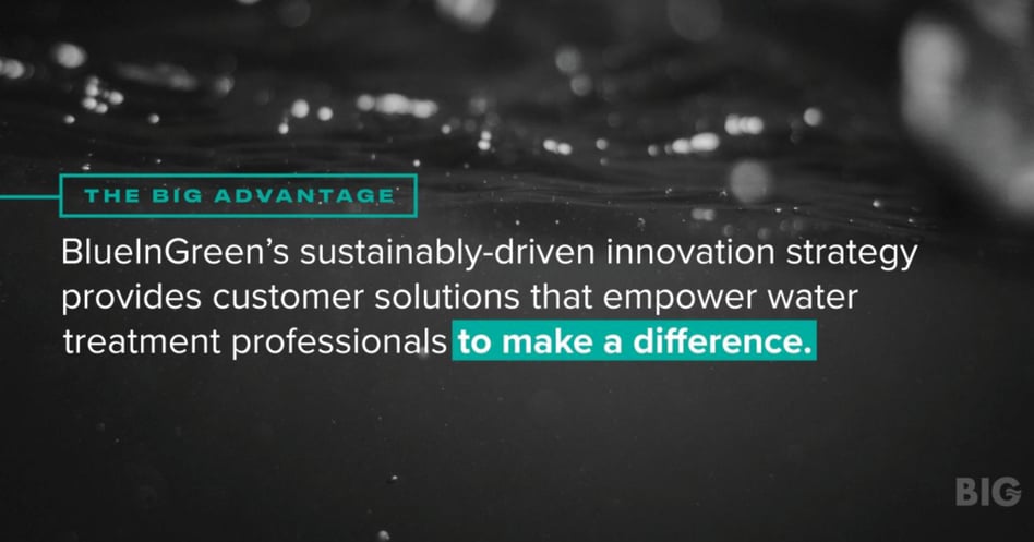 Sustainability as Strategy: A Discussion with BlueInGreen