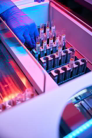 shutterstock_2441357495-edit